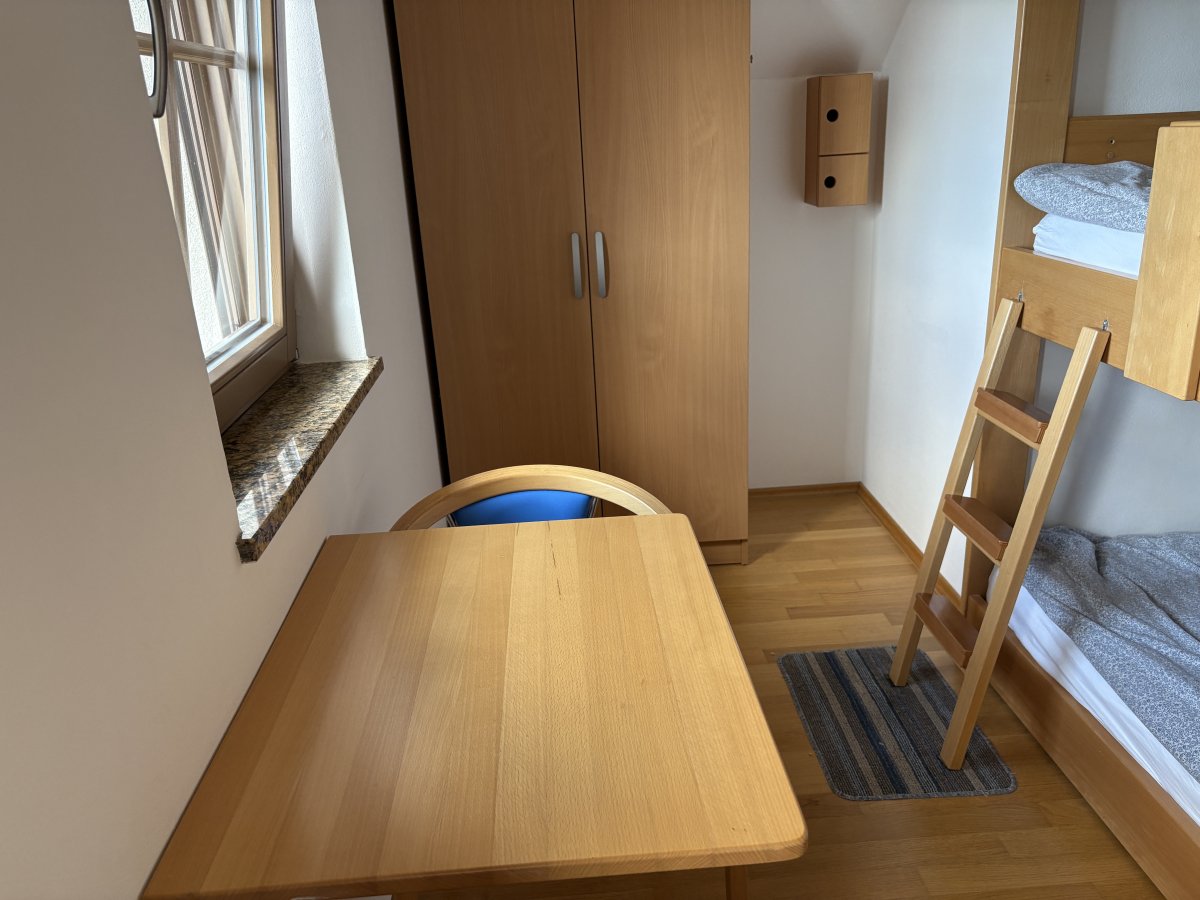 I wonder what is inside these bird holes..