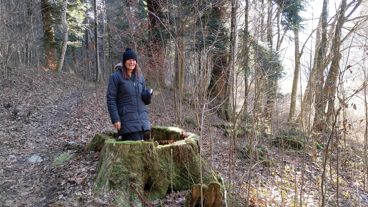 We found this huge empty tree stump on the Rakov Skocjan Hike.. We found this huge empty tree stump on the Rakov Skocjan Hike..