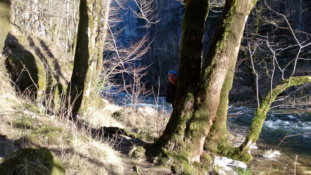 There are plenty of trees to hide behind and make silly faces.. There are plenty of trees to hide behind and make silly faces..