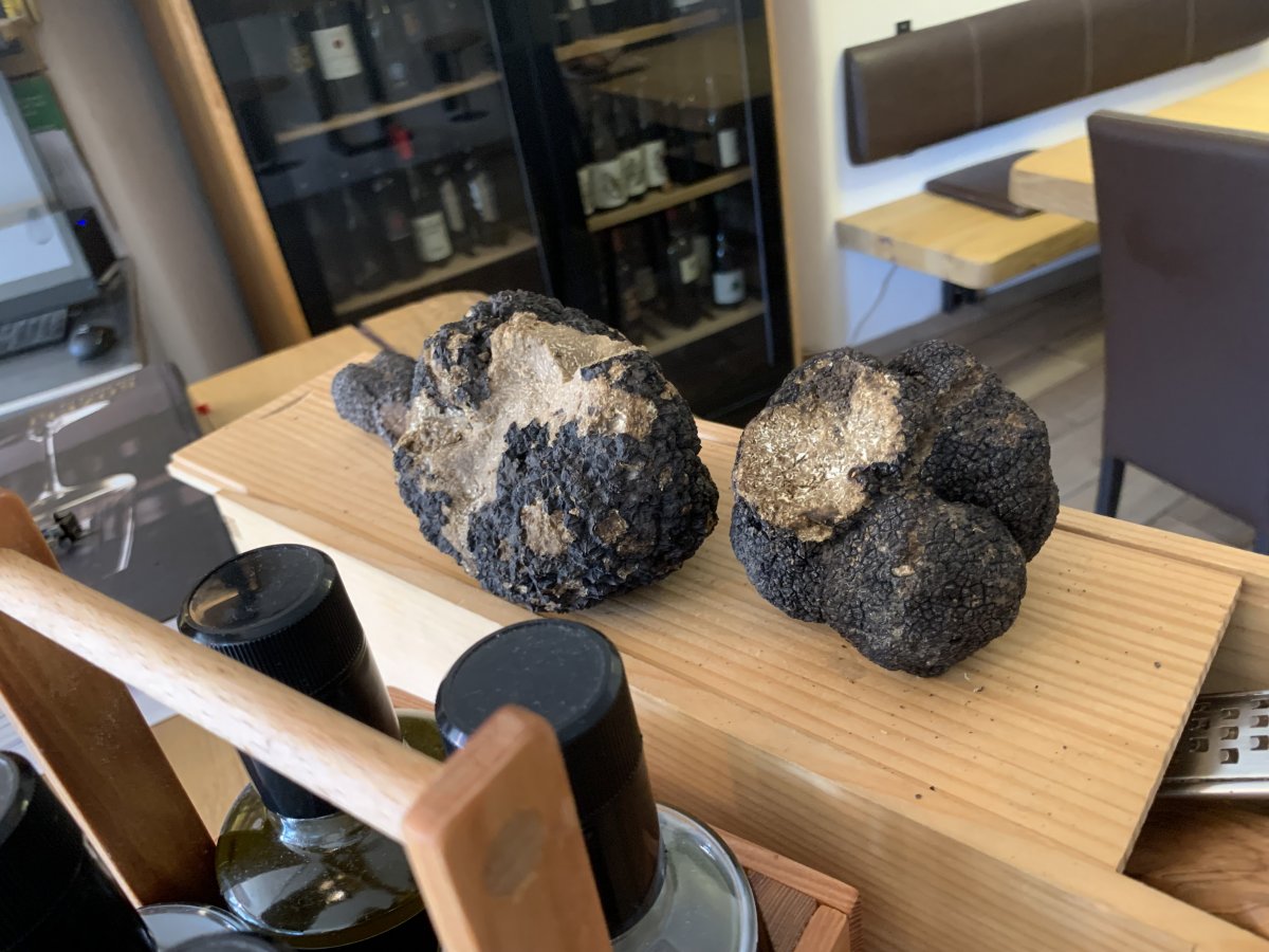 These are massive truffles we were shown at a local restaurant.. These are massive truffles we were shown at a local restaurant..