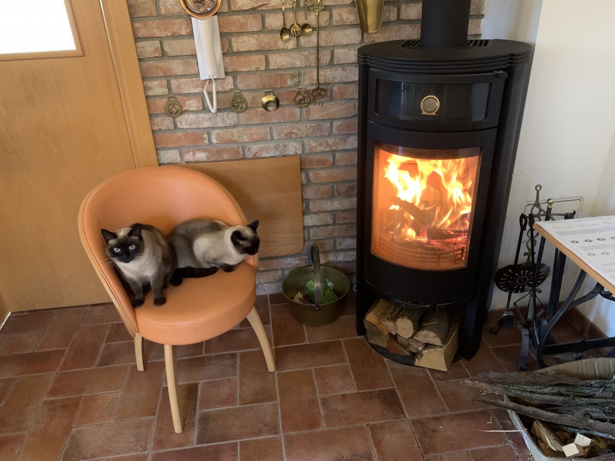 Cuddling up by the fire on a nippy Autumn day.. Cuddling up by the fire on a nippy Autumn day..