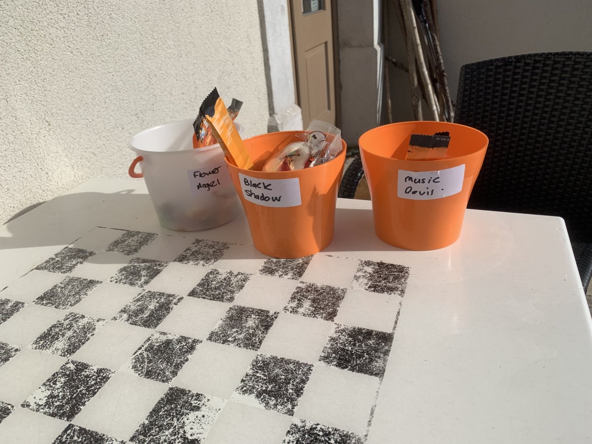 If you are lucky enough to be here for Halloween, we will almost certainly throw a Halloween party.. If you are lucky enough to be here for Halloween, we will almost certainly throw a Halloween party..