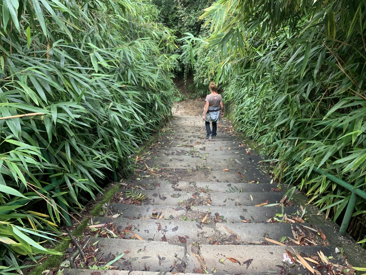 Go down the bamboo steps from Sistiana towards the sea..