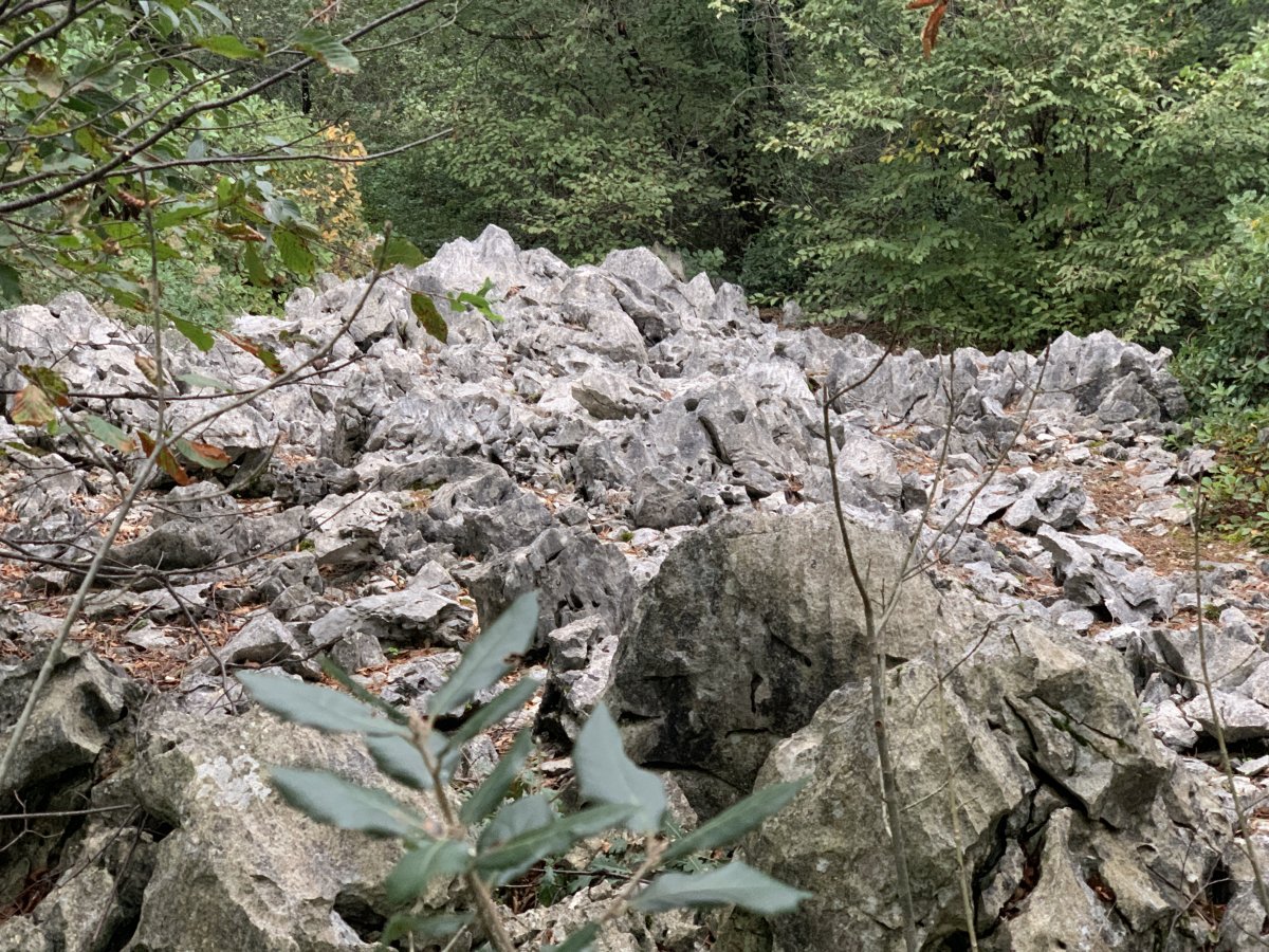 Typical crazy frog Karst rock scene, just to the side of the path..