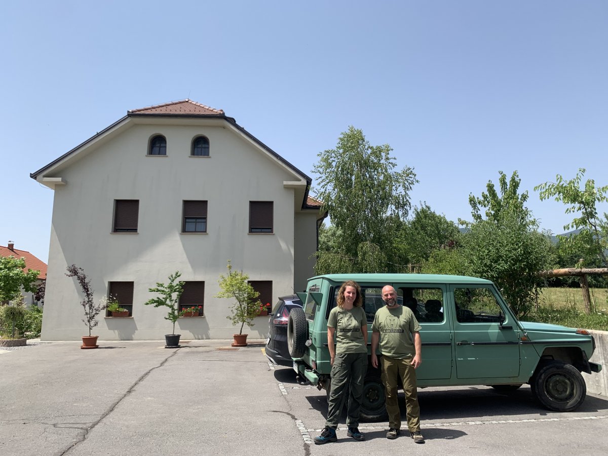 the BEararound team can pick you up from the Lodge in an ex Yugo military vehicle, how cool is that..