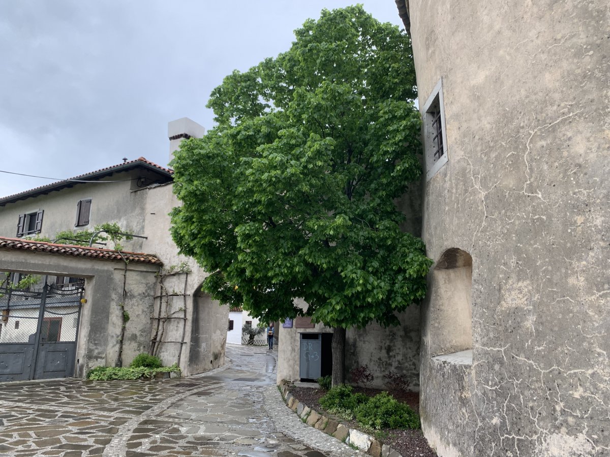 entrance to the stunning medieval hilltop village of SMARTNO, St Martins..