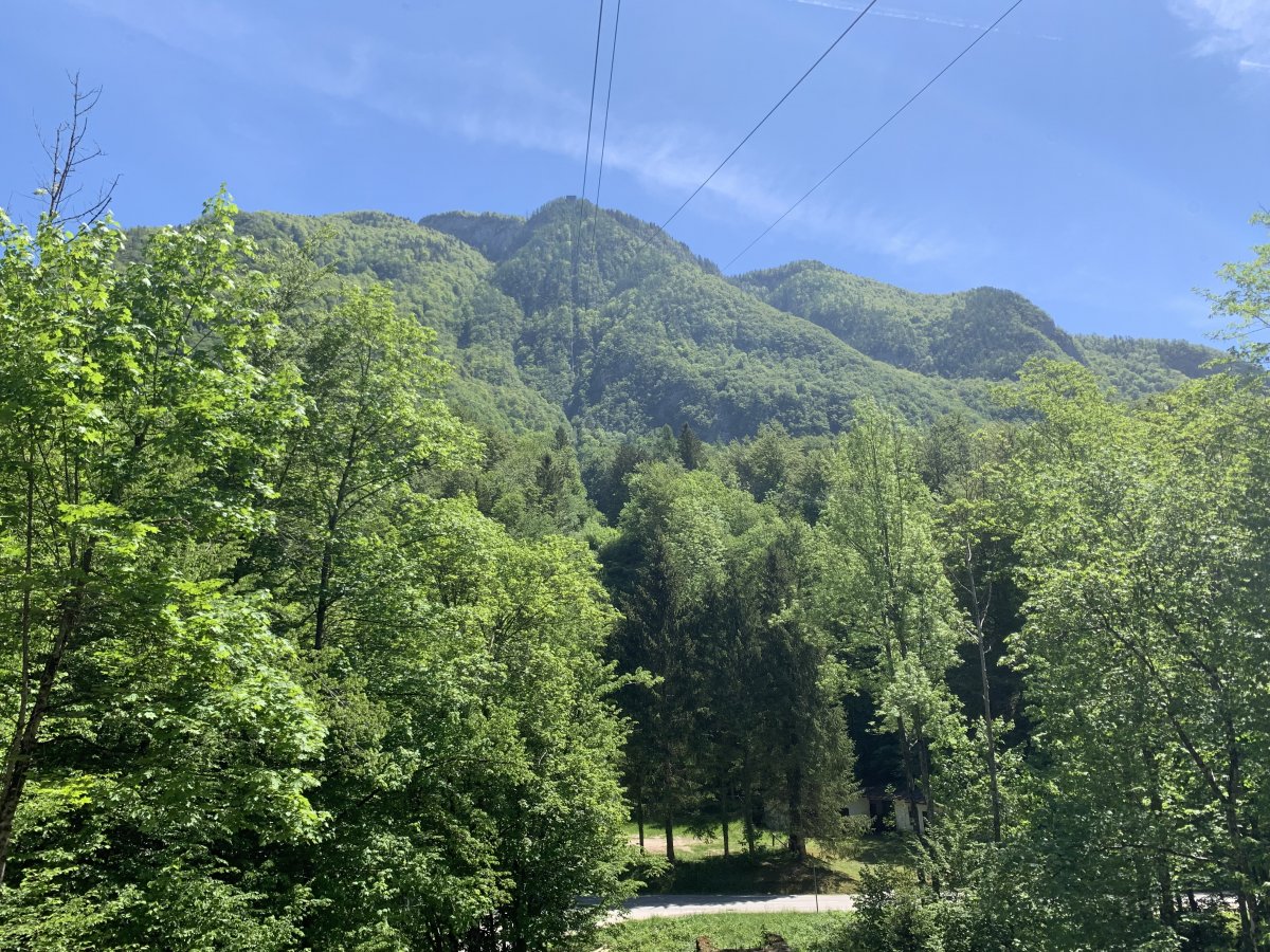 We are going up there please driver..