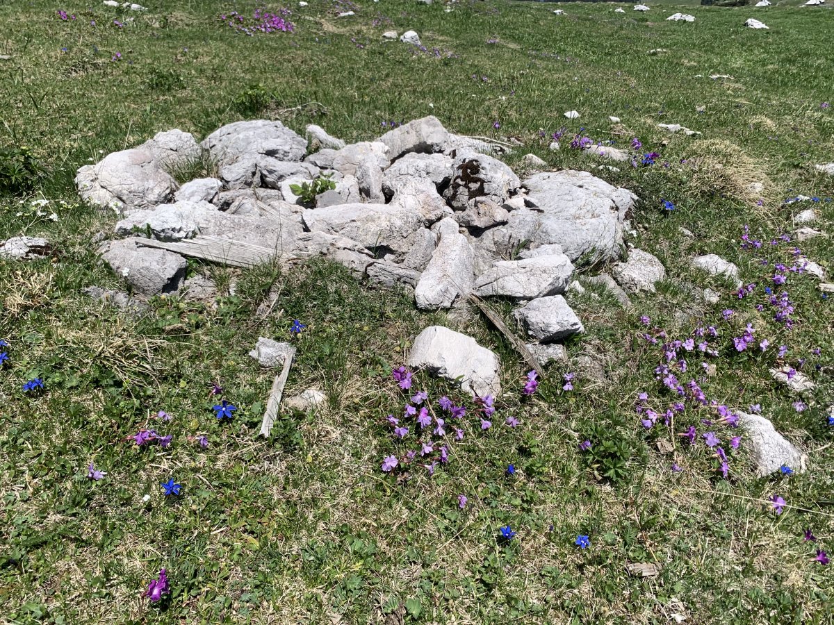 May is a fab time to see the new spring flowers cover the mountain top like a carpet..