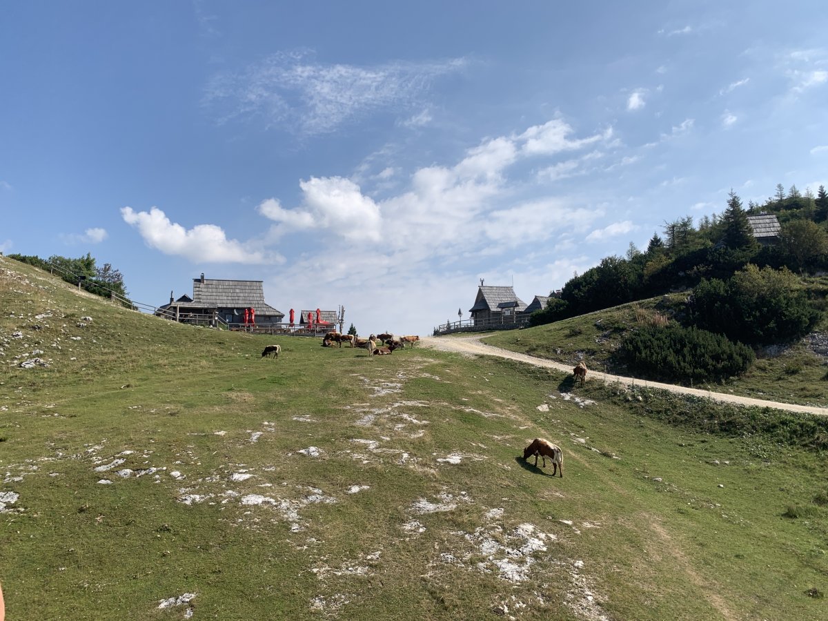 The ski Lift will drop you off at this first main cafe OR you can hike up the stone track here..