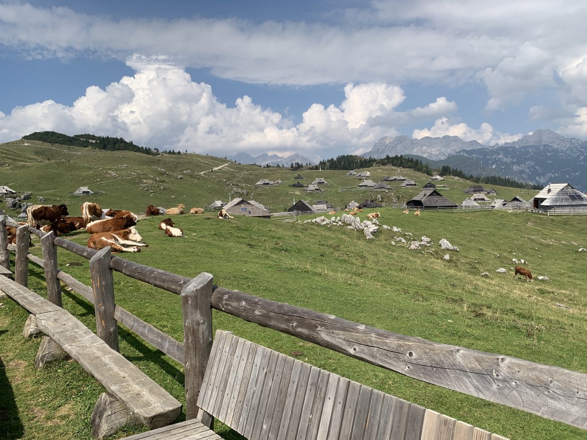 Velika Planina means Big Mountain Meadow in English, you can see why here..