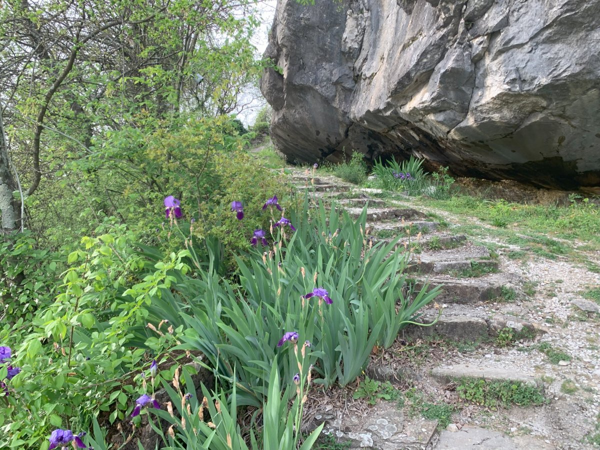 try to find this lovely little walk around the side of the massive rock wall at Kubed..