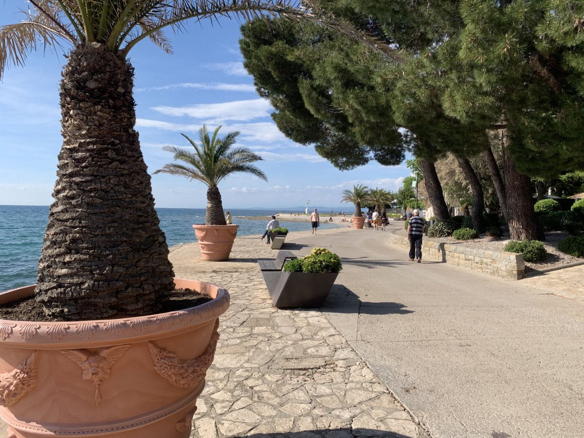 Enormous potted pineapples line the way to the main beaches on the island peninsula..
