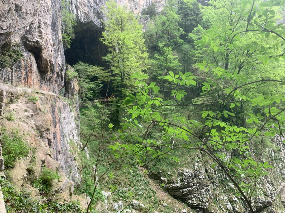 This is the Karst, Green Slovenia, baby.. This is the Karst, Green Slovenia, baby..
