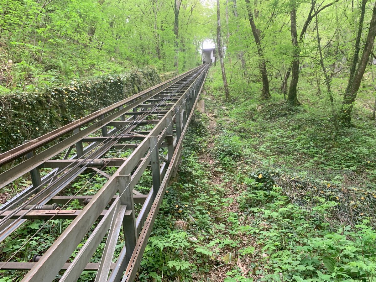short hop up into Green paradise for the Furnicular ride.. short hop up into Green paradise for the Furnicular ride..