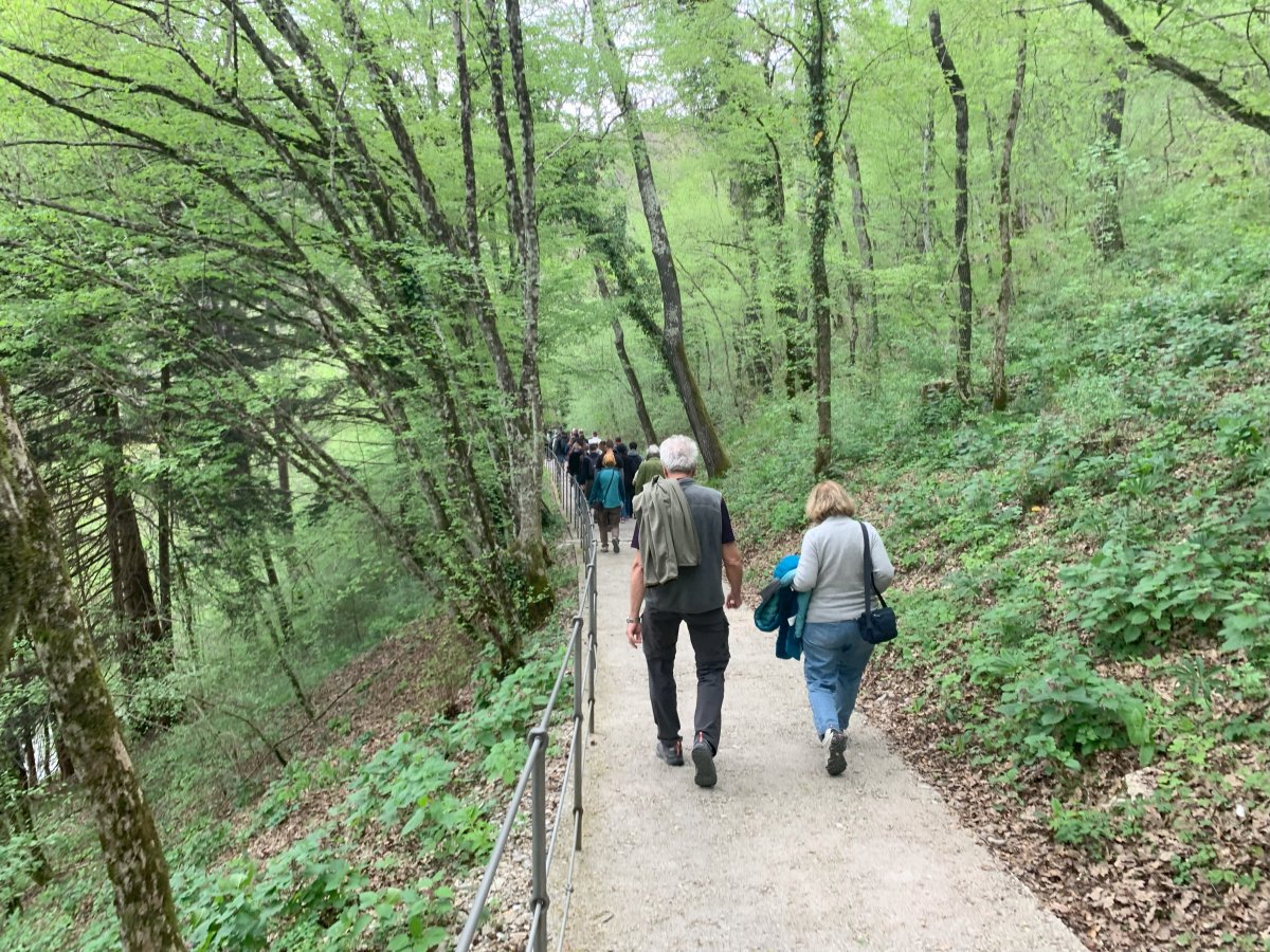 A good 10 min walk from the vistor centre down to the cave entrance.. A good 10 min walk from the vistor centre down to the cave entrance..
