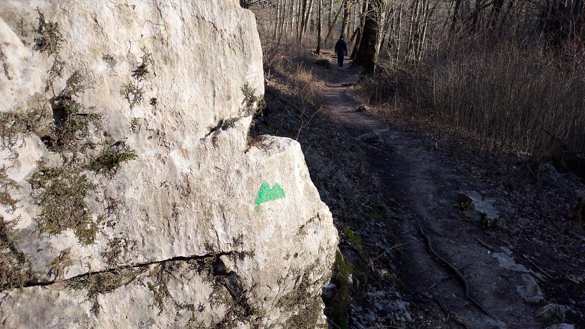 the green mountains are part of the huge Alpe Adria path, but also handy to follow here..