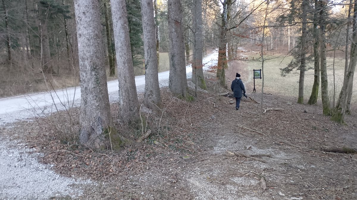 A few parts of the track are right next to the road..