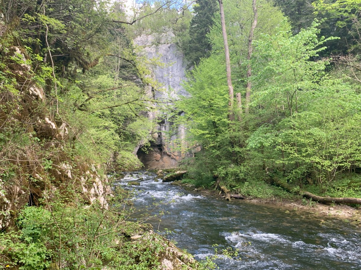 This is the end of the road for the Upriver part, now head up into the forest to ultimately reach the road.. and get around the back of this cliff..