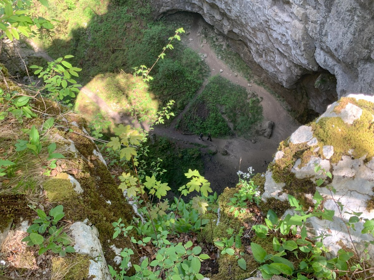 People look like ants far below from the top of the Little Bridge.. You are going down there..