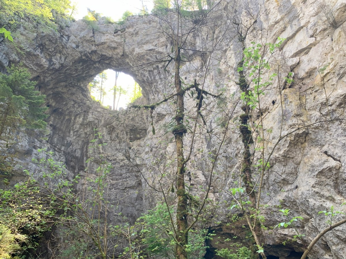 We do not know another place like this in the world..