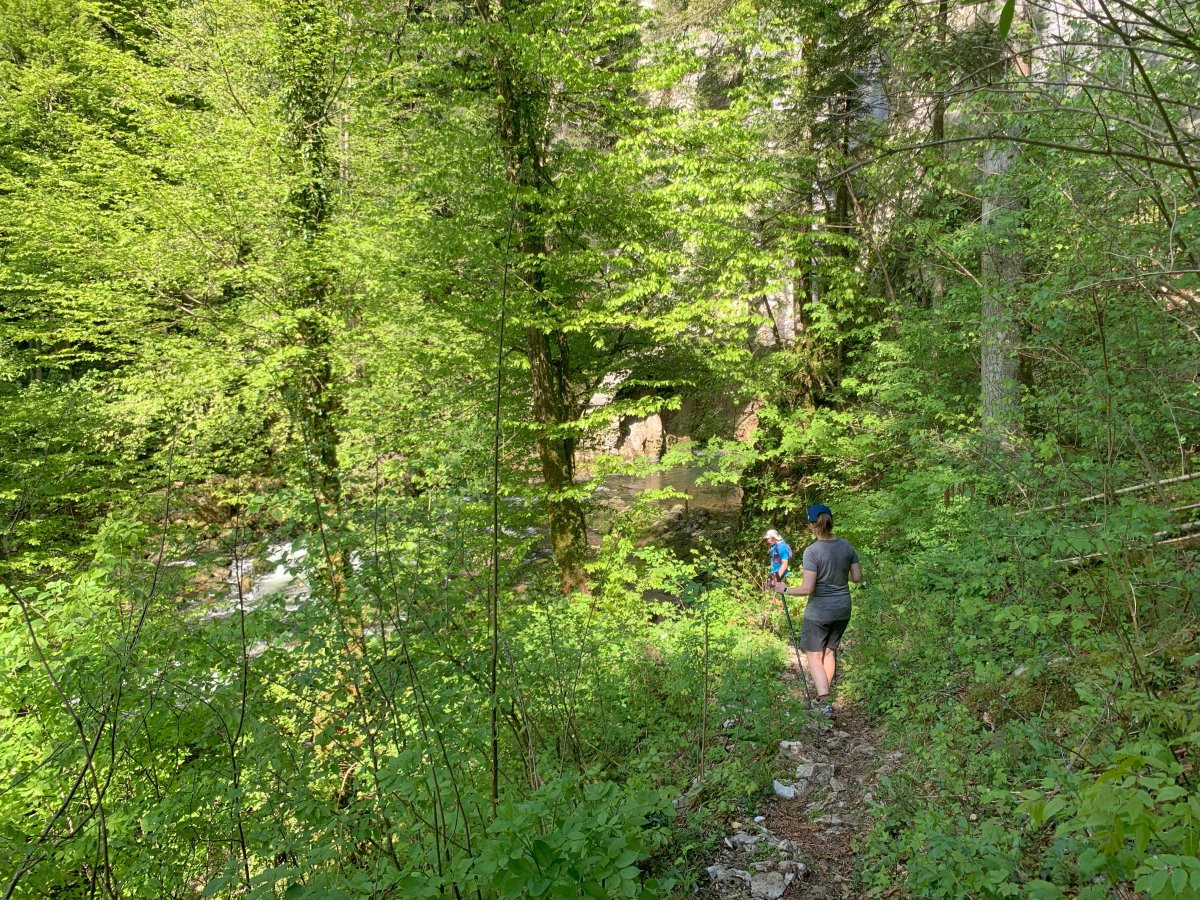 Do you see why we call it a Karst jungle hike.. almost down by the river again..