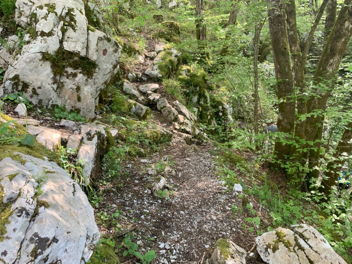 This is a Green Karst path, baby..