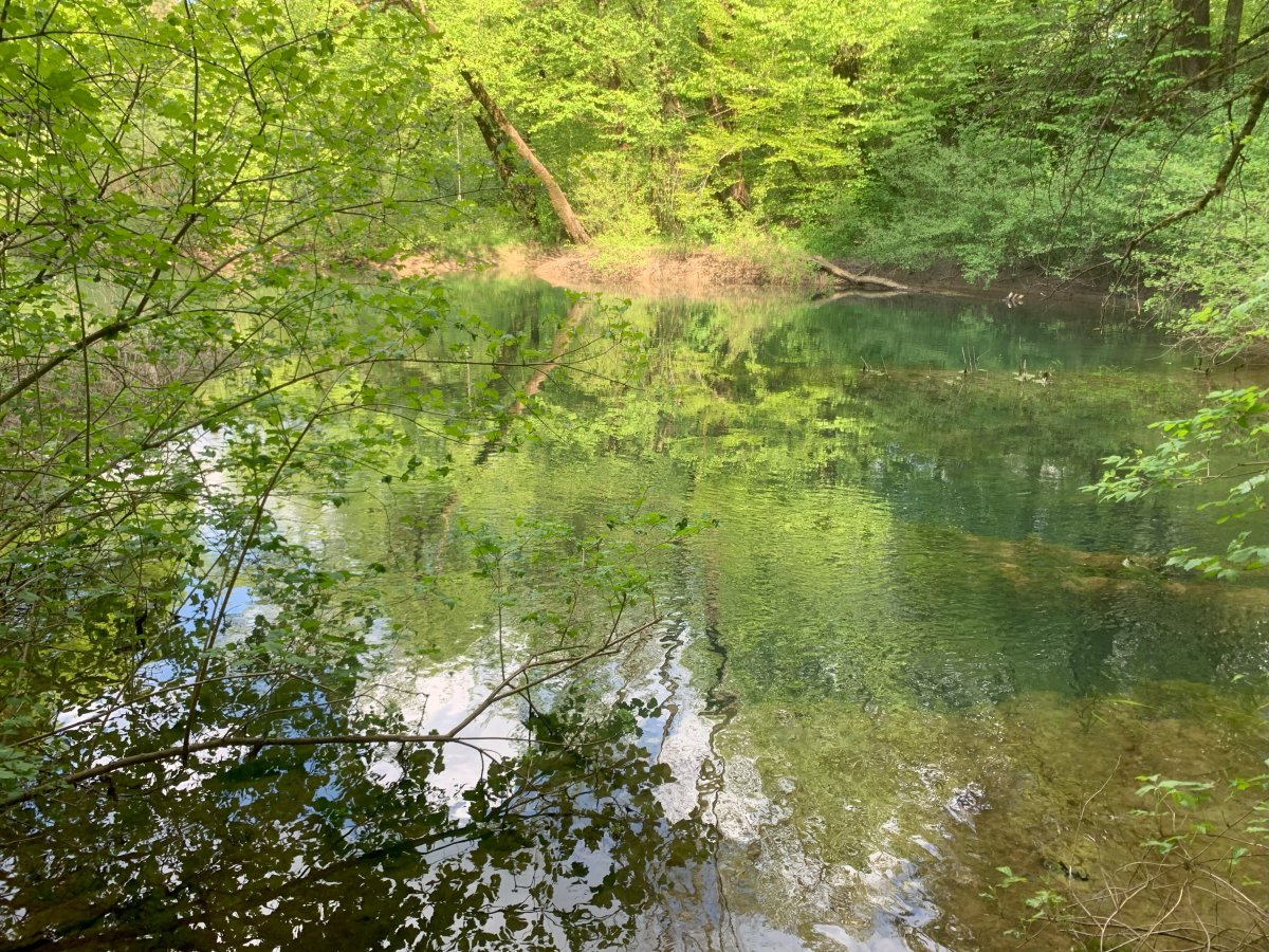 another reason we call it all Green Slovenia, baby..