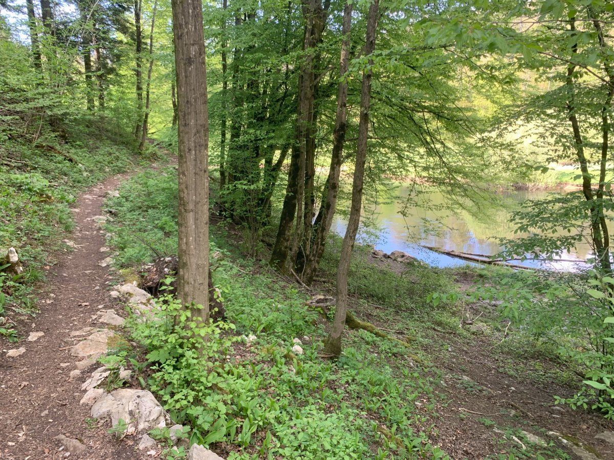 The people walking on the road or driving are COMPLETELY missing this Green paradise..