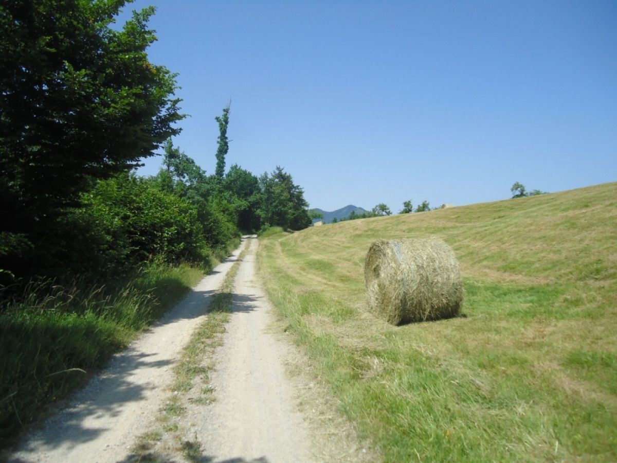 The best secret path in all Green Slovenia