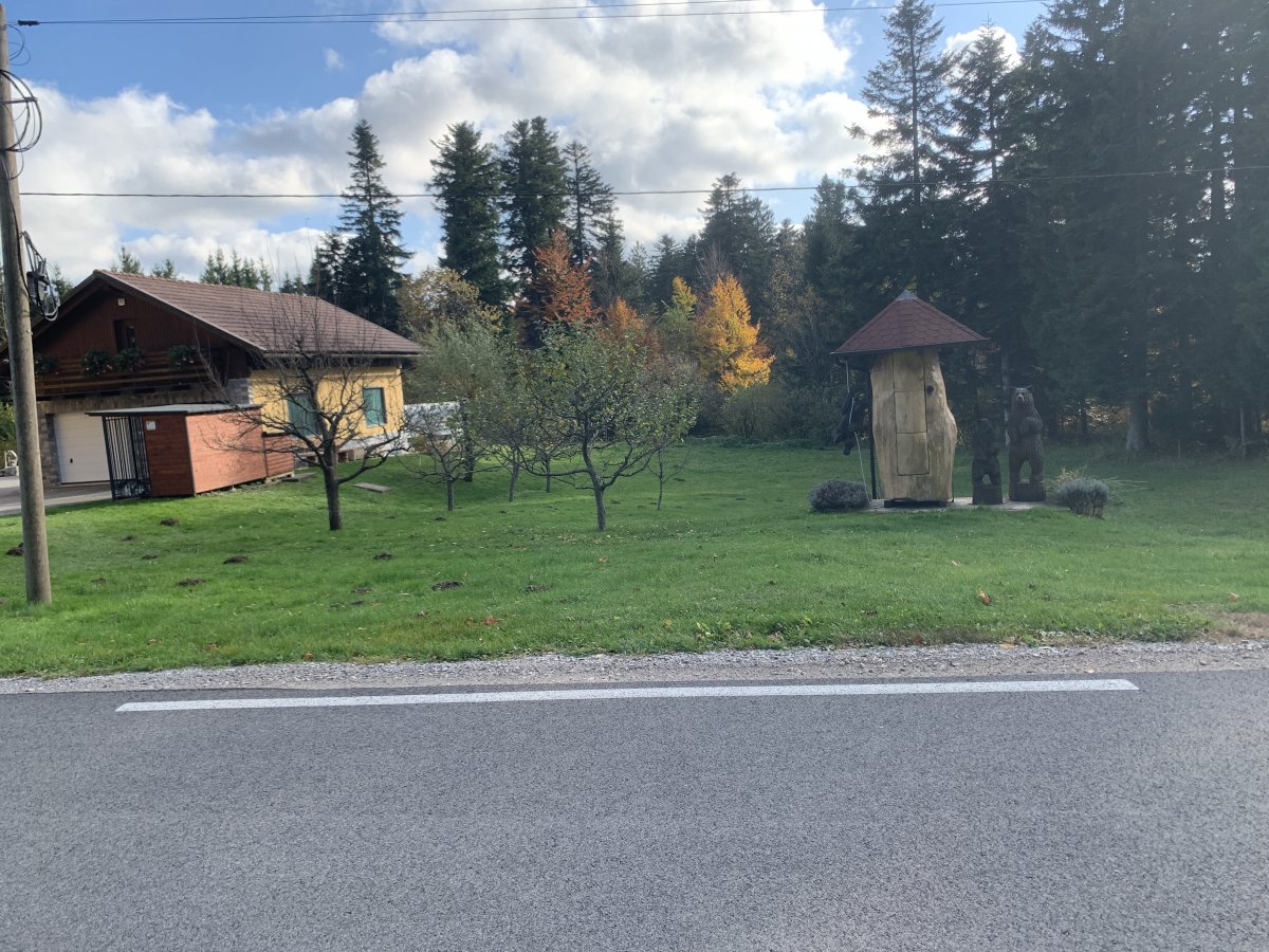 The bear signals local honey for sale at this house..