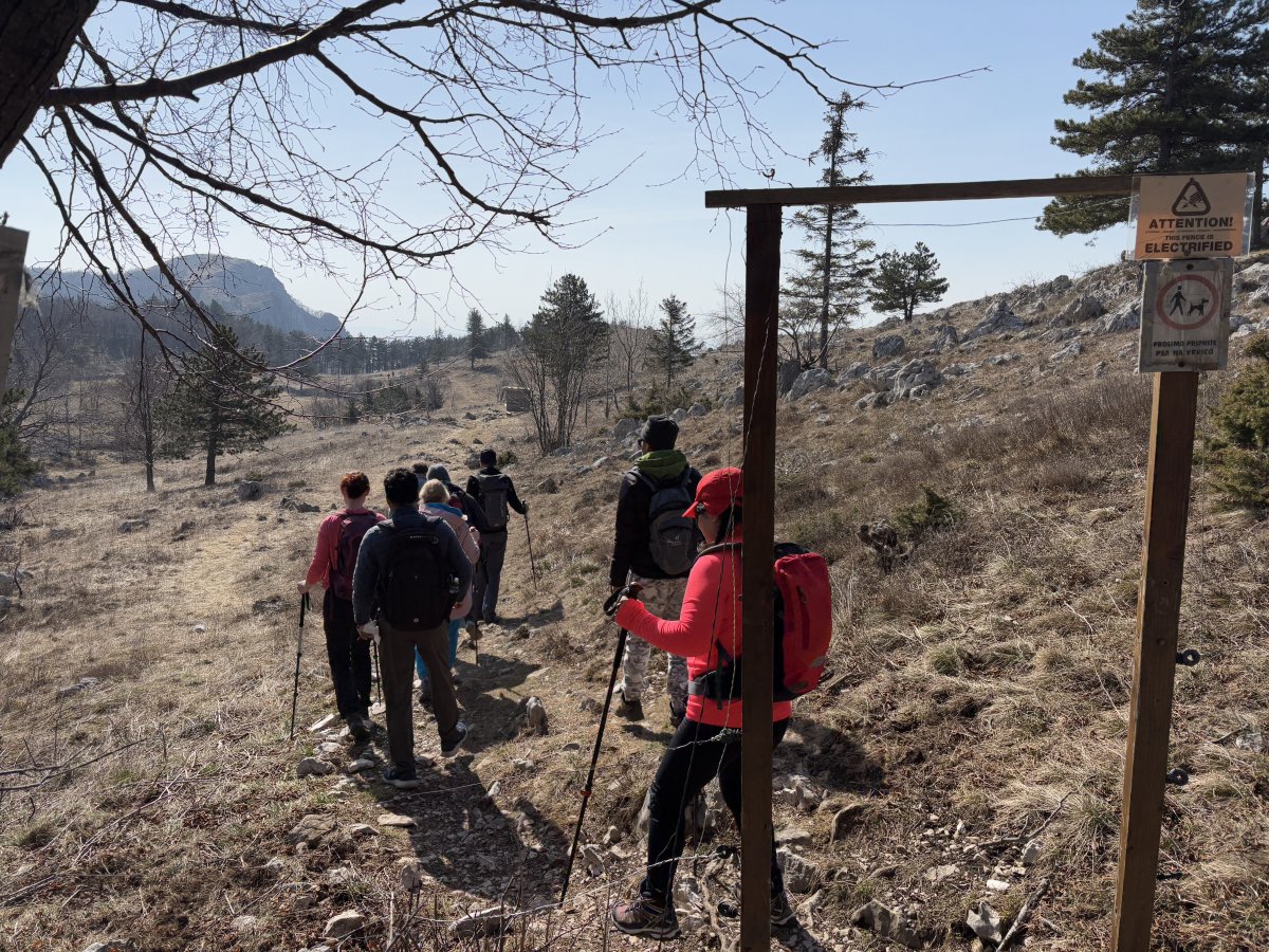 This is a short hike, but covers uberstunning Karst rock scenery..