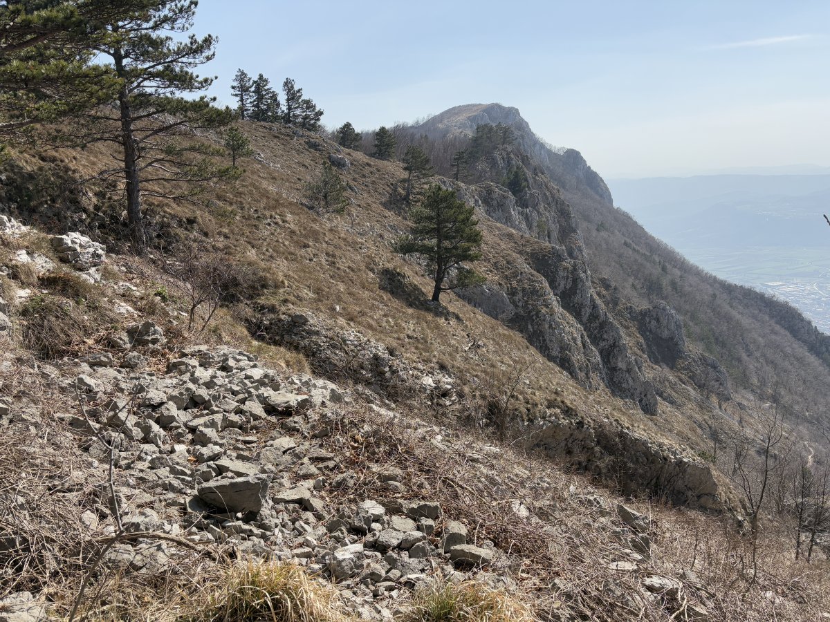 the Karst rock cliffs reveal themselves until covered in Green from May..