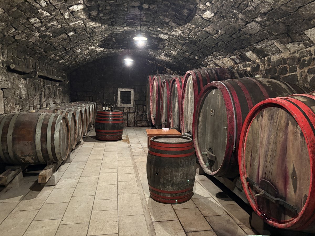 No wine cellar in Slovenia looks the same..