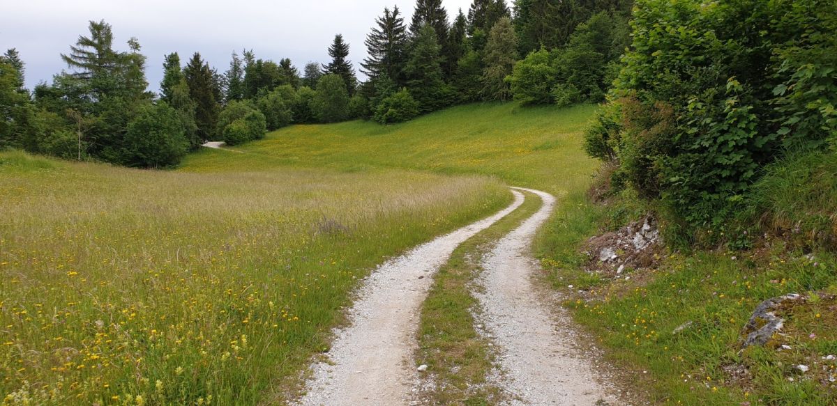 THIS is the track from the big blue sign to the start of the hike with just one narrow parking space.. THIS is the track from the big blue sign to the start of the hike with just one narrow parking space..