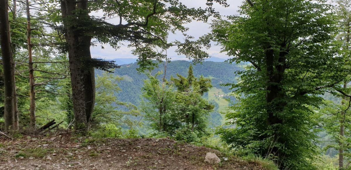 you are really up in the mountains here.. you are really up in the mountains here..