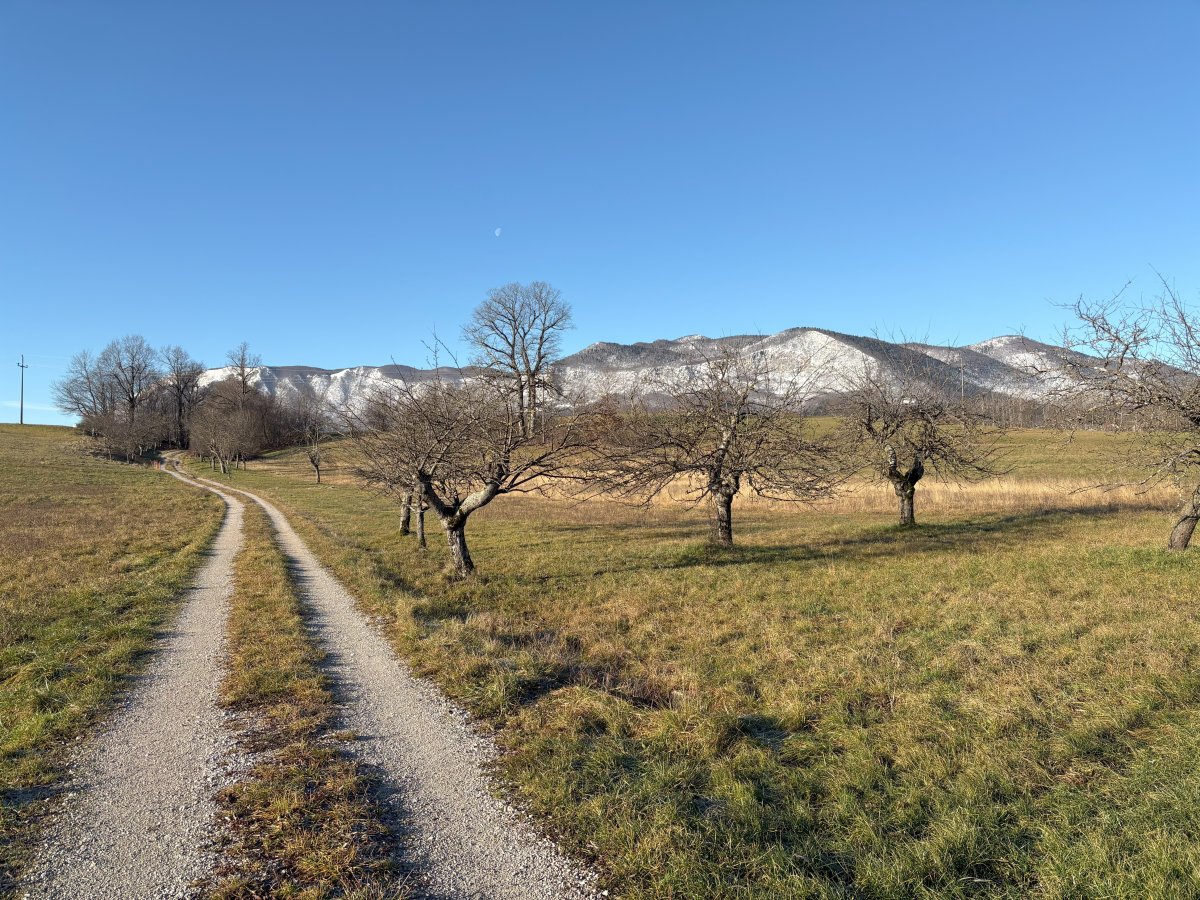 Winter walk along the old Roman road from Landol towards Nanos mountain..