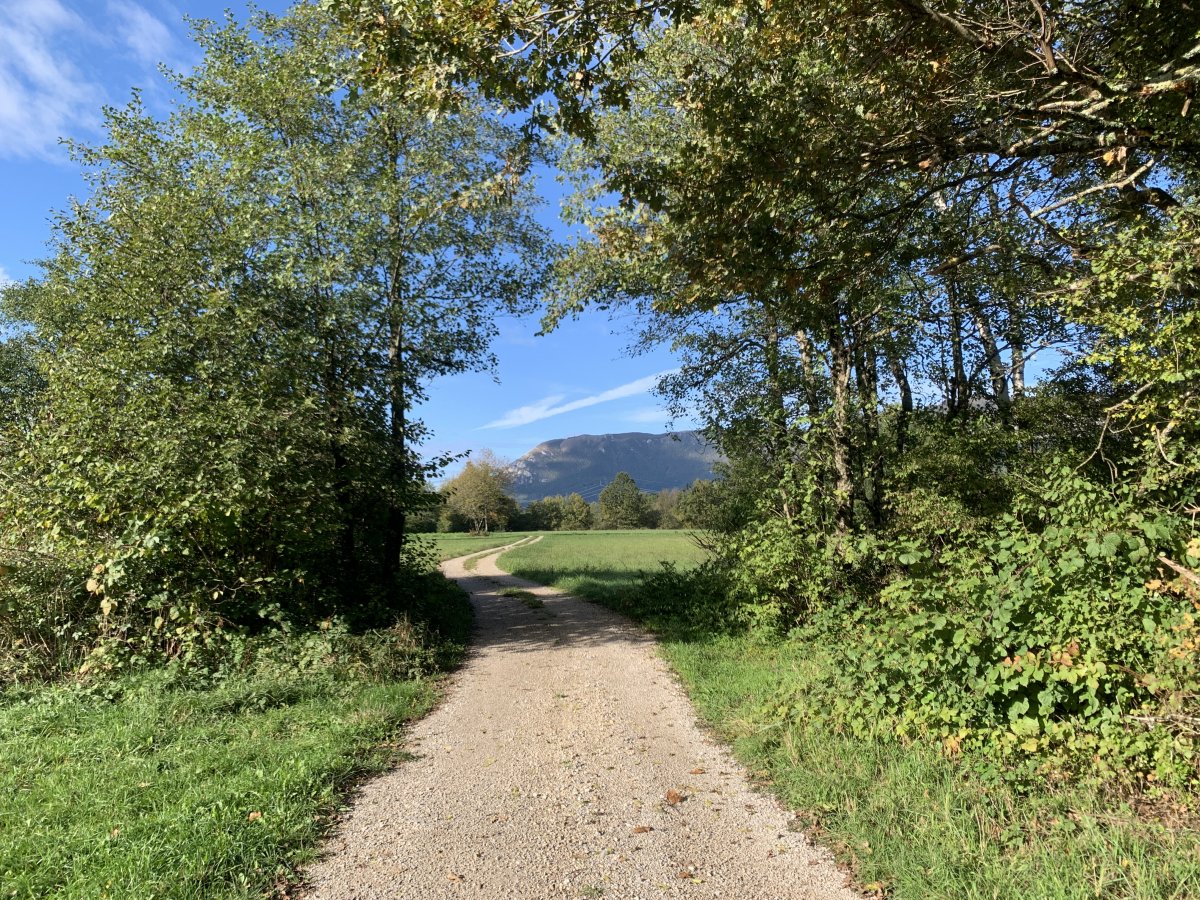Lovely walk down to a river from the Lodge..