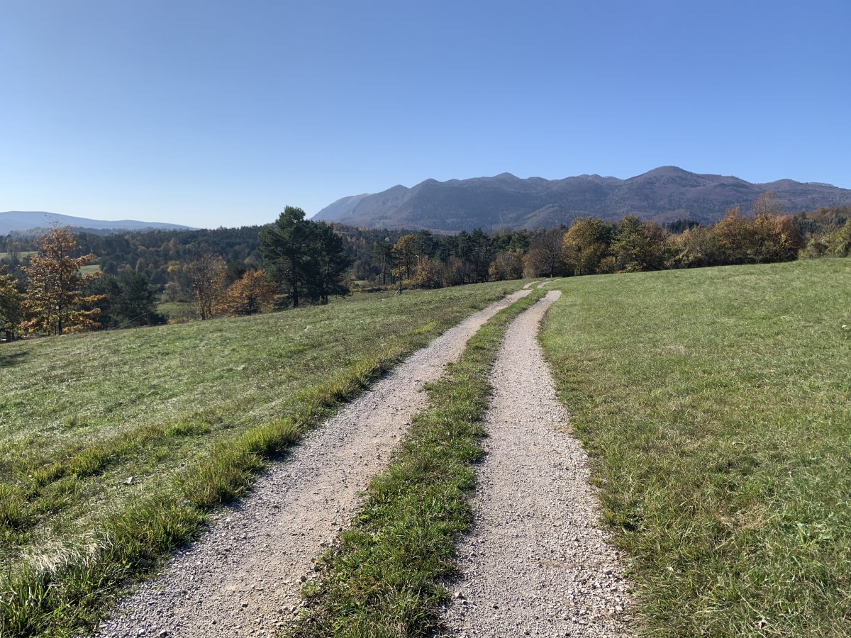 There are numerous tracks over meadows, forest and Dinaric moutains around here..