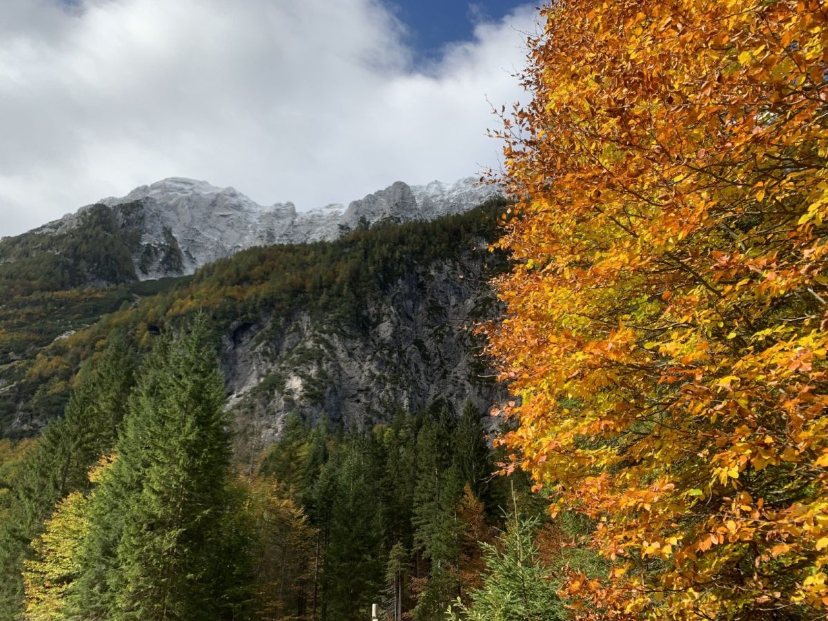 with so many trees around here, you will get some fantastic autumnal contrasts..
