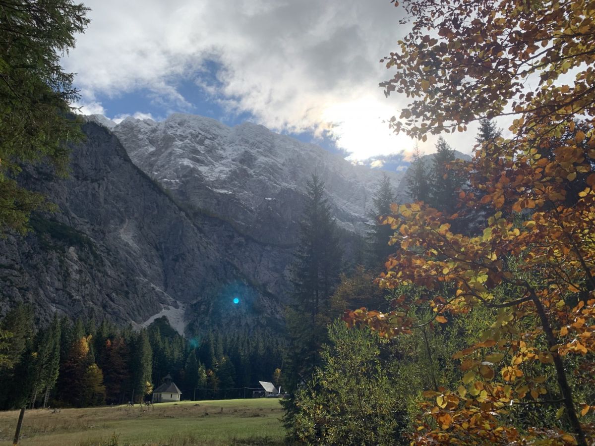 Autumn in Green Slovenia