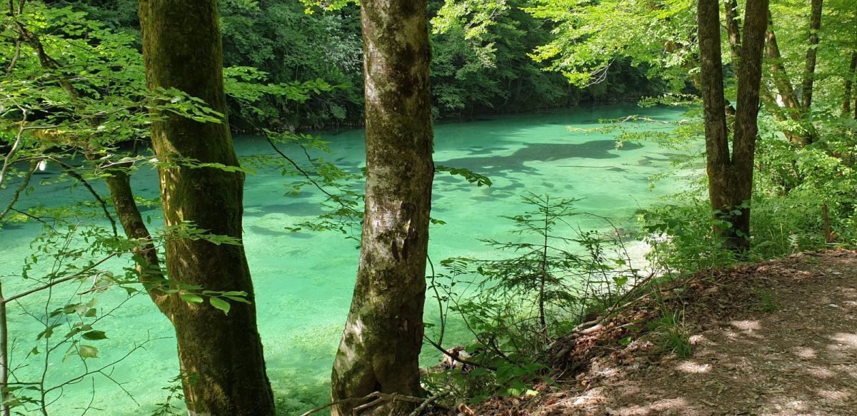 Green Slovenia.. a Top 5 WORLD destination for 2022!
