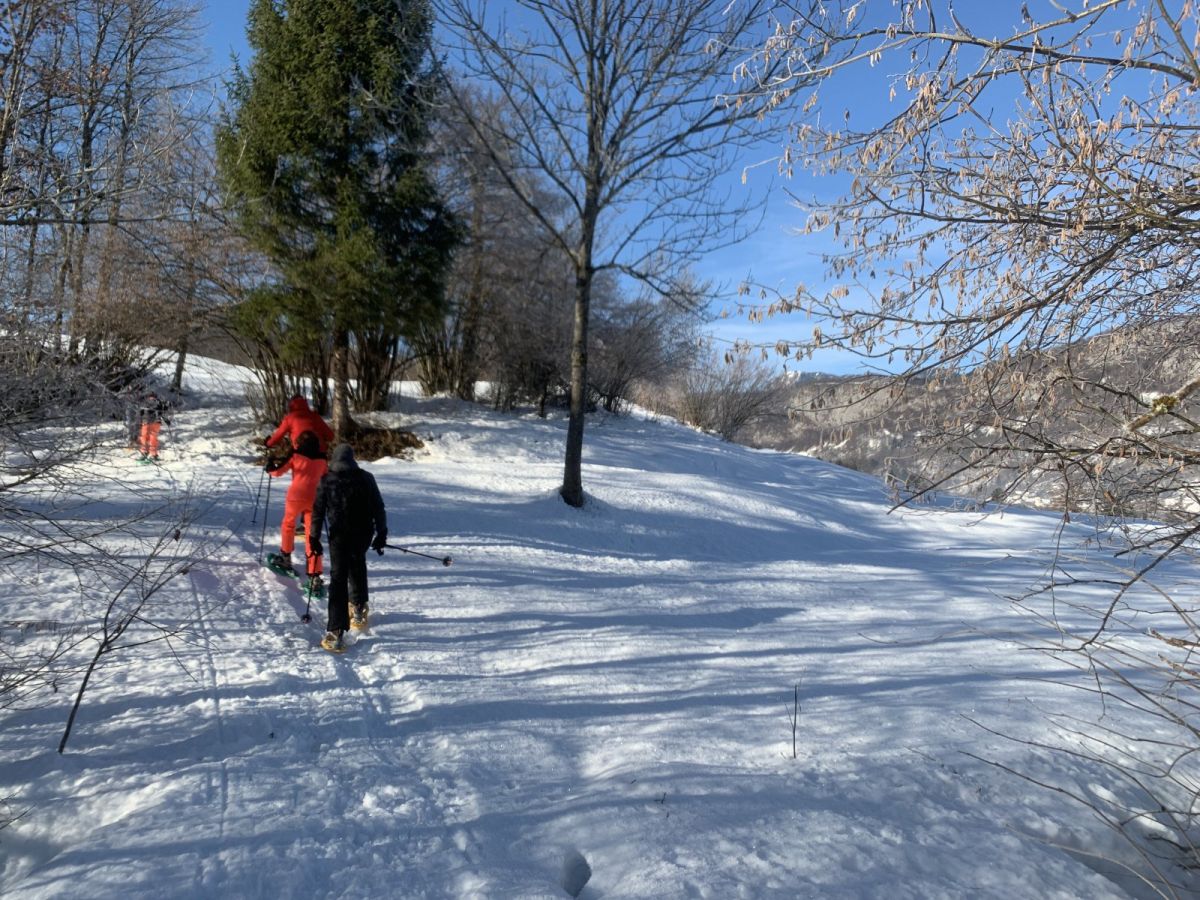 our guide told us about the local nature and different types of snow too..