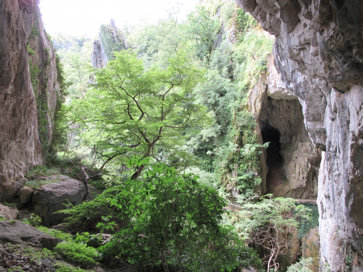 the tour at Skocjan cave does not end when you leave the cave mouth, the green adventure continues.. the tour at Skocjan cave does not end when you leave the cave mouth, the green adventure continues..