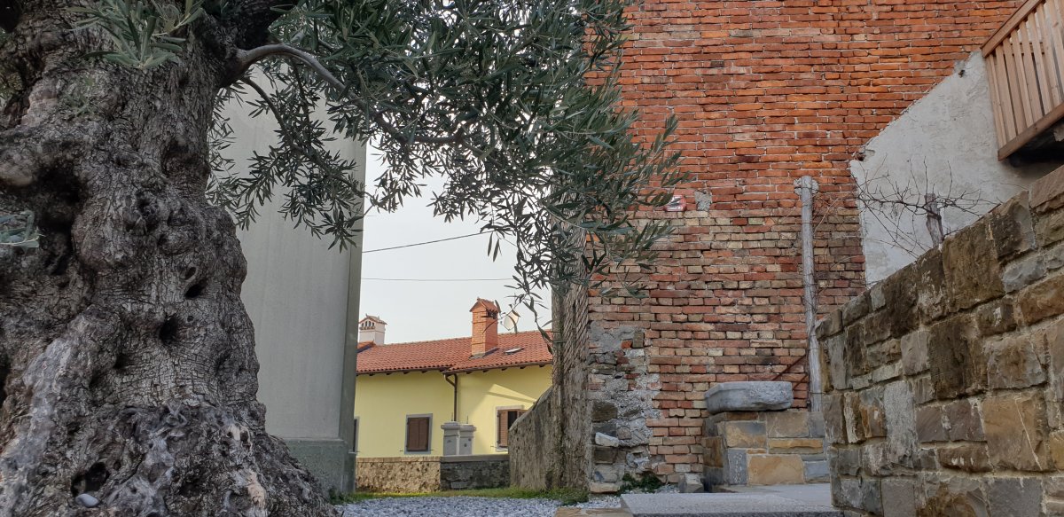 surprises around every corner in Smartno.. surprises around every corner in Smartno..