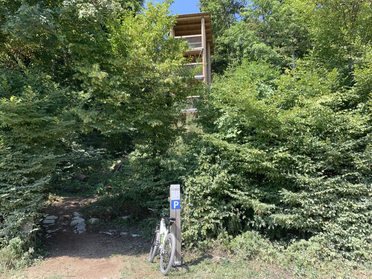 Cernica lake has been beatifully furnished with towers, benches and signs to help you understand how special it is and explore..