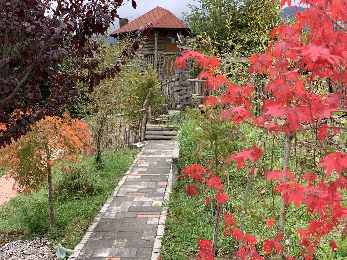 back at the Lodge the autumn colours are coming thru..