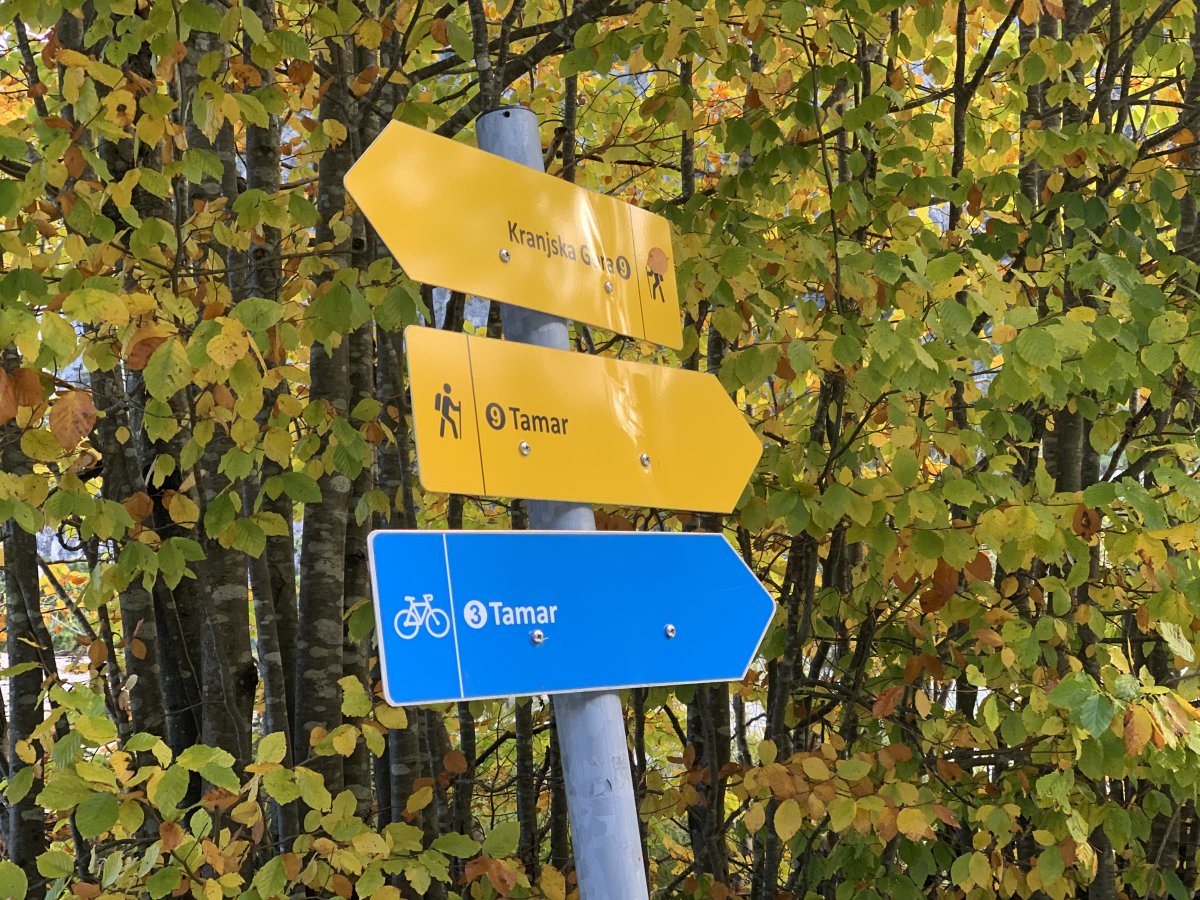 just follow the sign to Tamar..