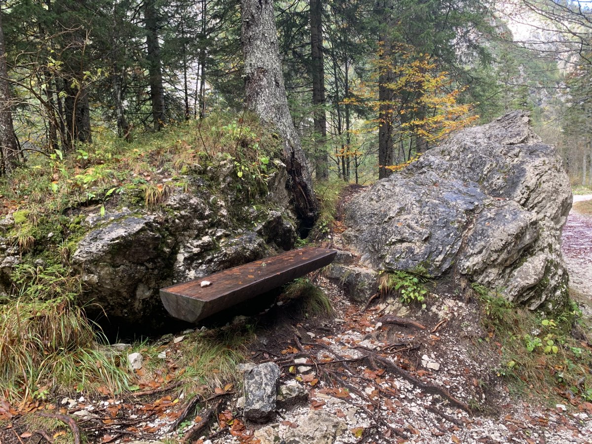 just beautiful when benches are merged with nature..