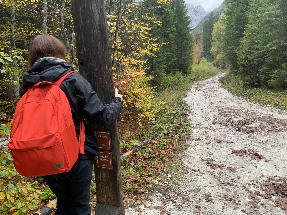 these peak posts are just so handy AND merge with nature..