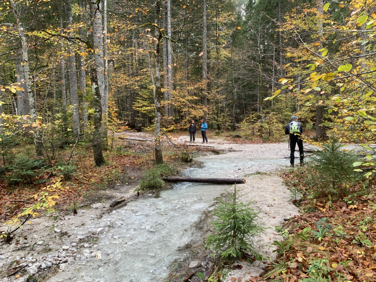 a makeshift bridge to help you continue this magical autumn hike..